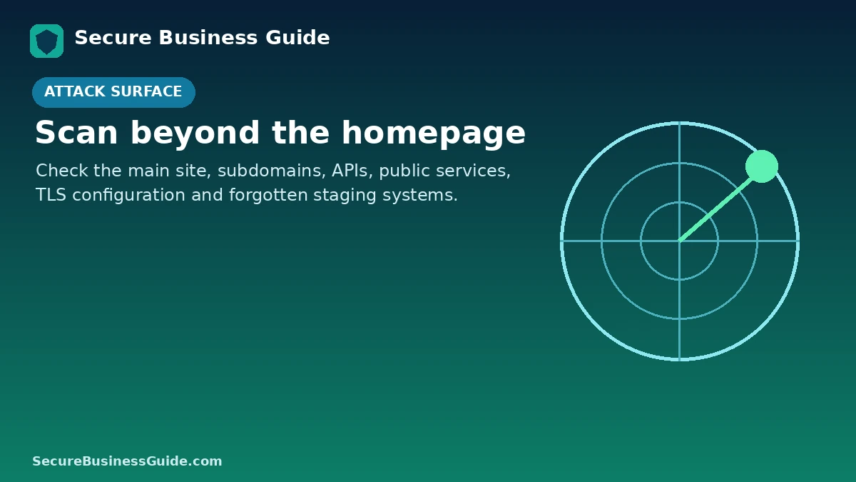 Website vulnerability scanning across domains, subdomains, APIs and public services